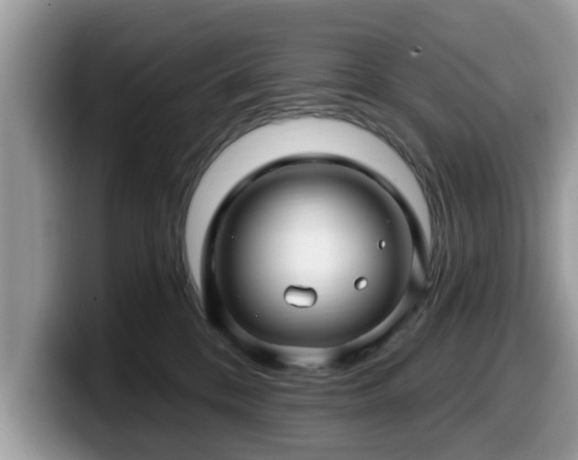 X0000099960328200805301319