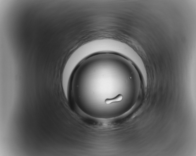 X0000099960329200805301319