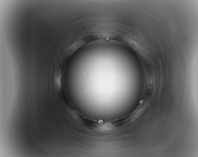 X0000099960334200805301319