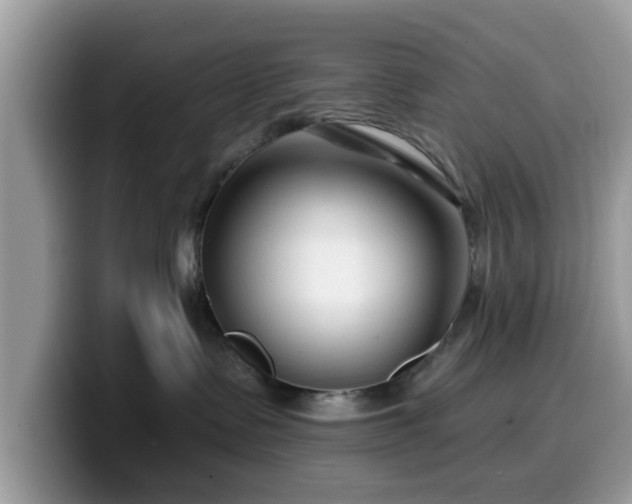 X0000099960335200805301319