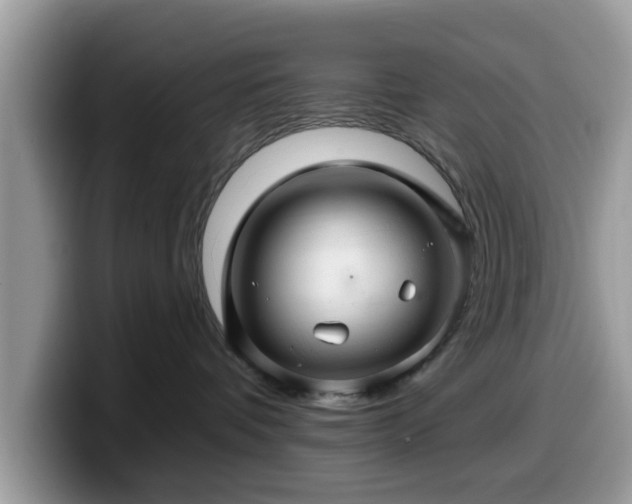 X0000099960336200805301319