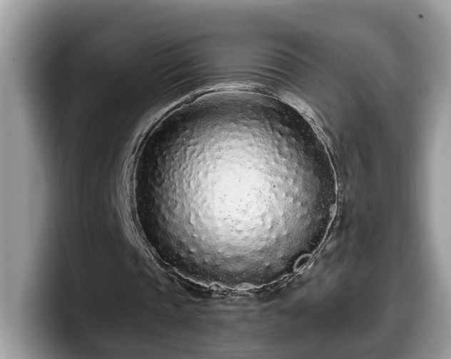 X0000099960337200805301318