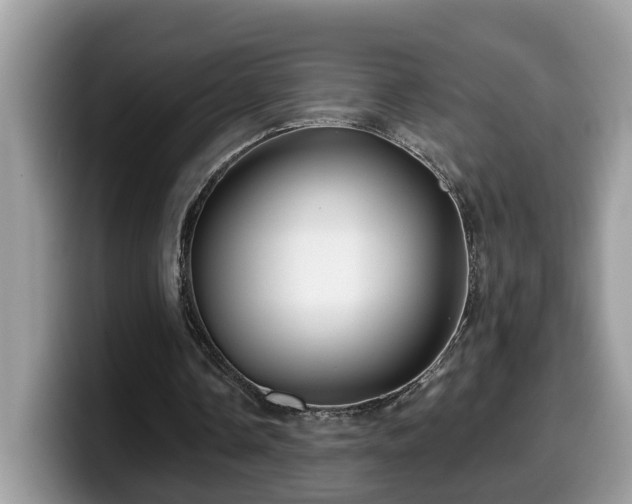X0000099960338200805301318