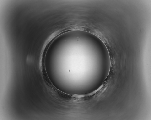 X0000099960340200805301318