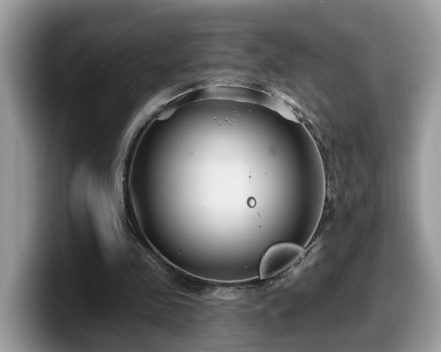 X0000099960341200805301318