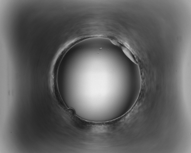 X0000099960342200805301318