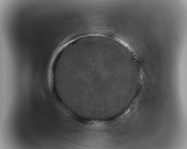 X0000099960343200805301318