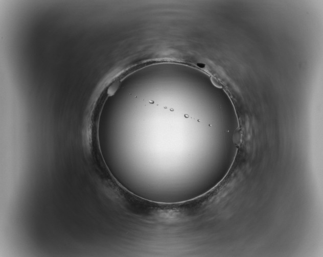 X0000099960344200805301318