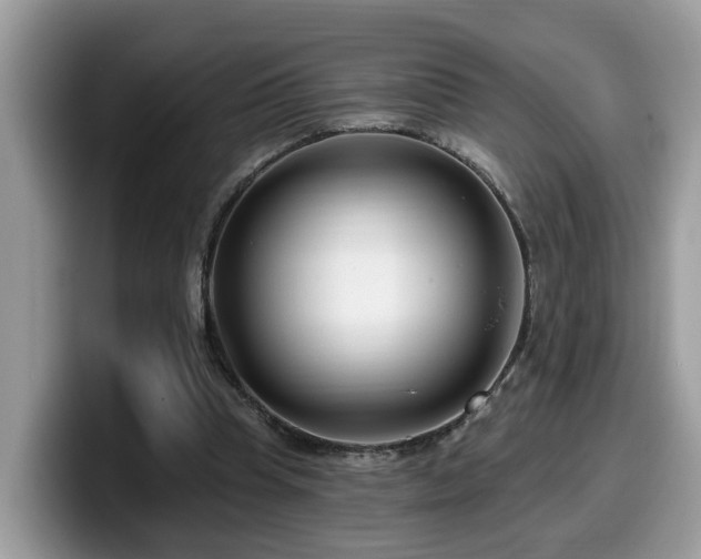 X0000099960345200805301318