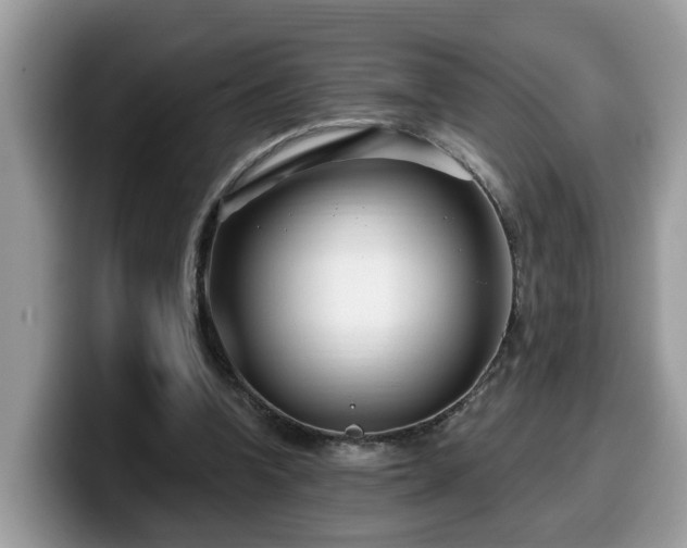 X0000099960346200805301318