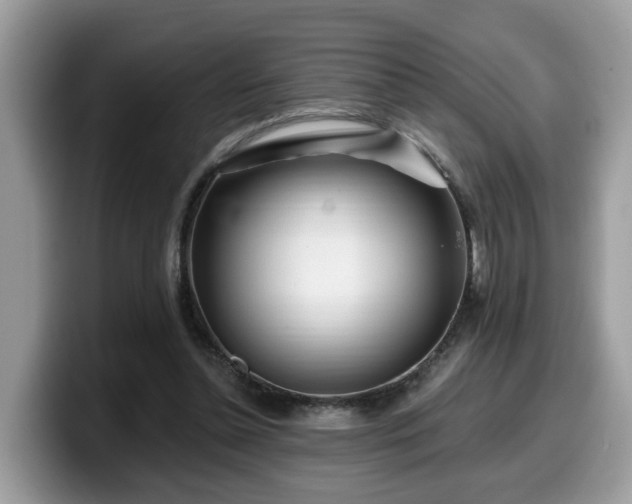 X0000099960348200805301318