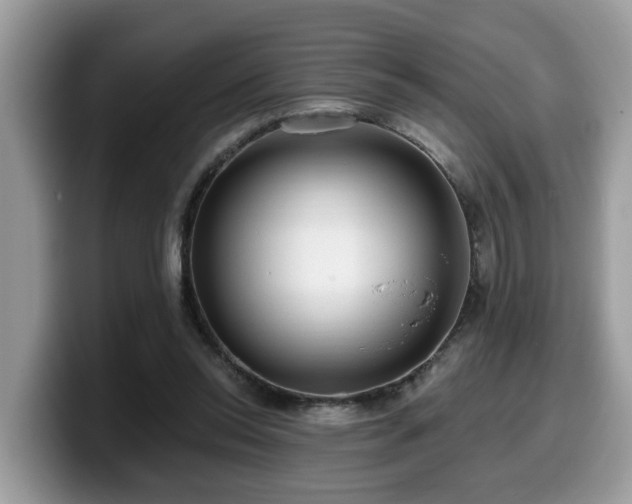 X0000099960350200805301318