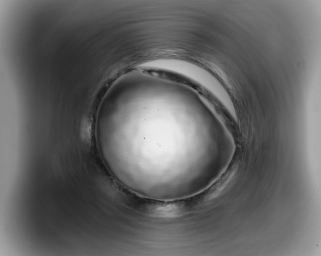X0000099960357200805301318