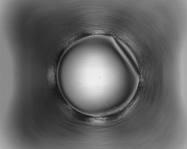 X0000099960359200805301318