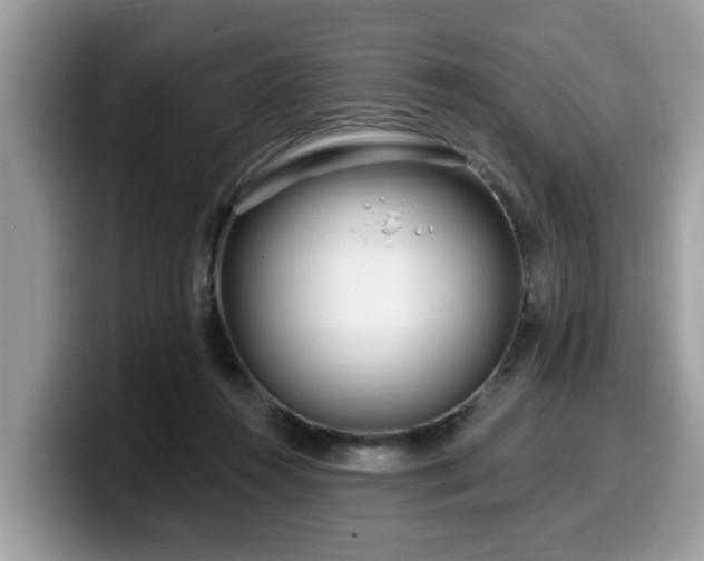 X0000099960360200805301318