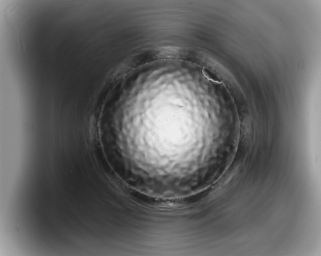 X0000099960361200805301318