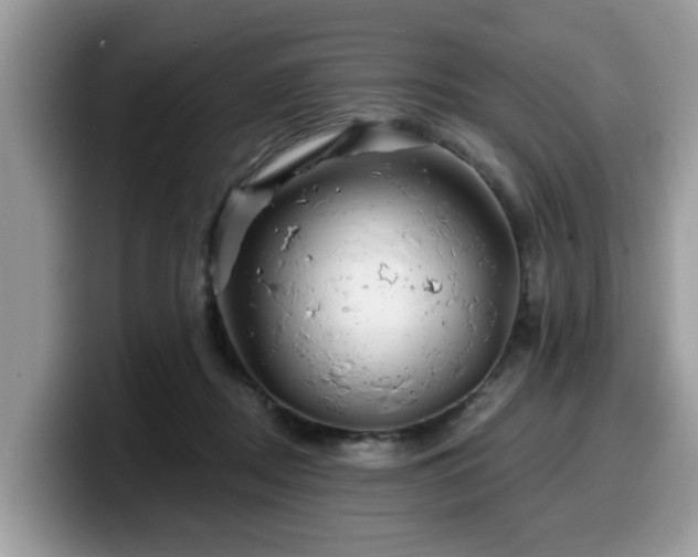 X0000099960362200805301318