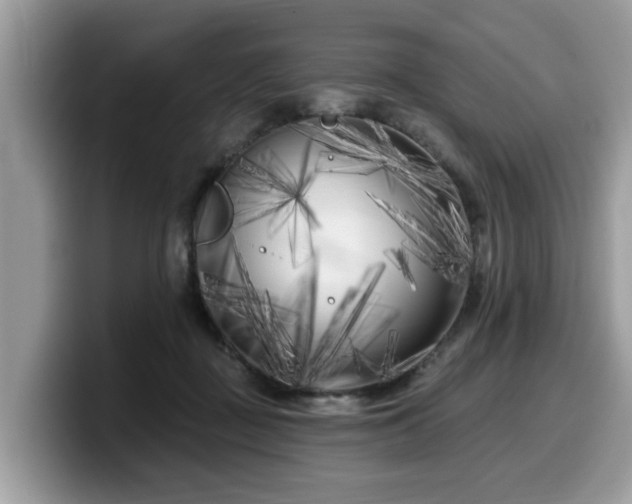X0000099960363200805301318