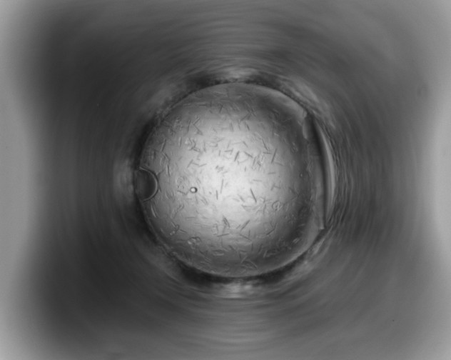 X0000099960366200805301318