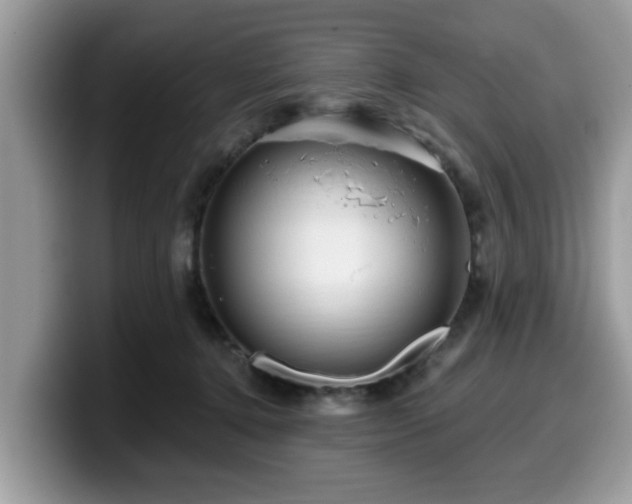 X0000099960368200805301318