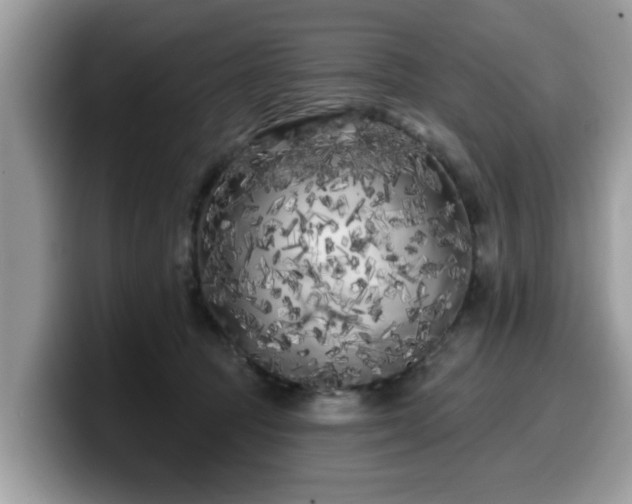 X0000099960369200805301318