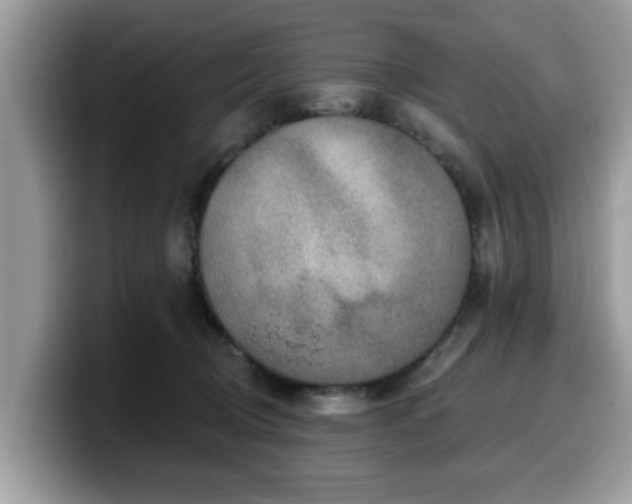 X0000099960370200805301318