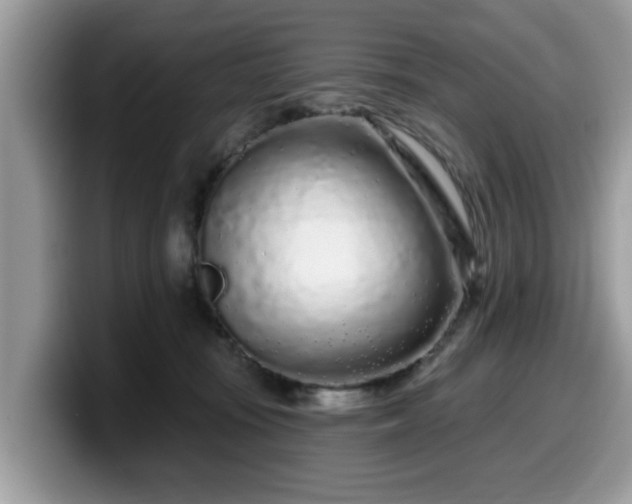 X0000099960371200805301318