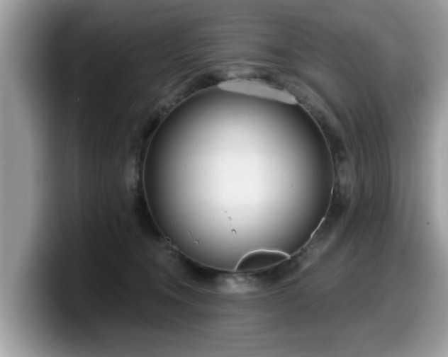 X0000099960372200805301318