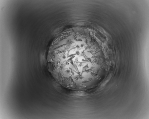 X0000099960377200805301319
