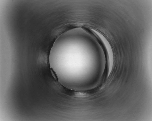 X0000099960380200805301319
