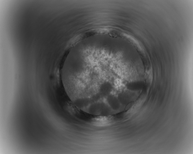 X0000099960381200805301319