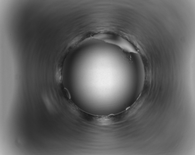 X0000099960383200805301319