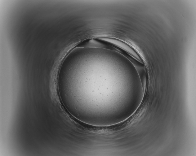 X0000099960385200805301318
