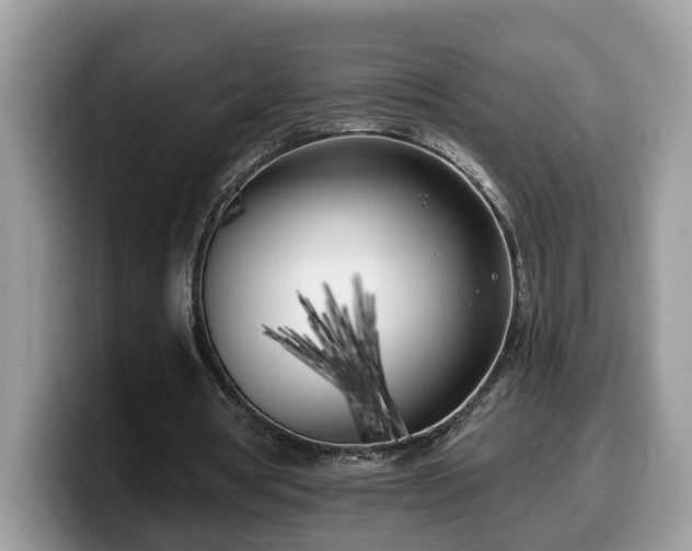X0000099960386200805301318
