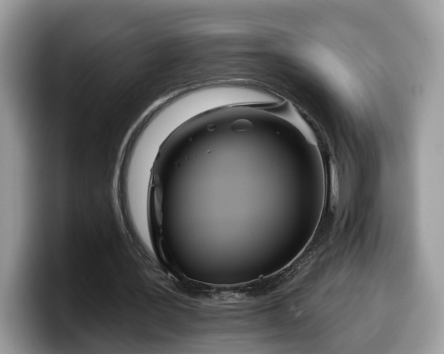 X0000099960387200805301318