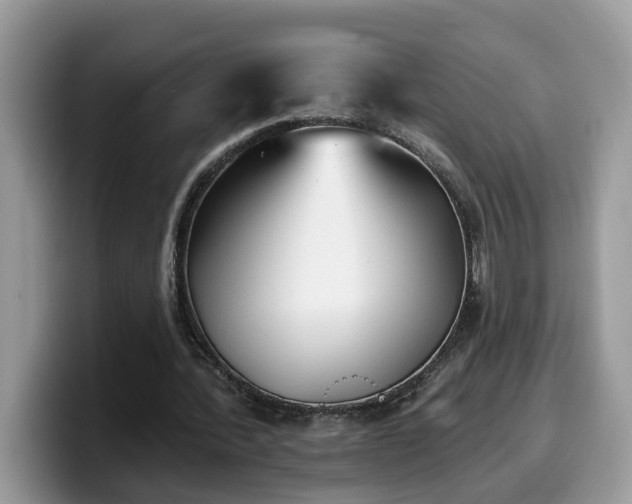 X0000099960388200805301318