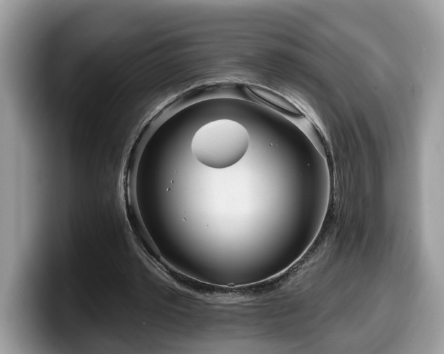 X0000099960389200805301318