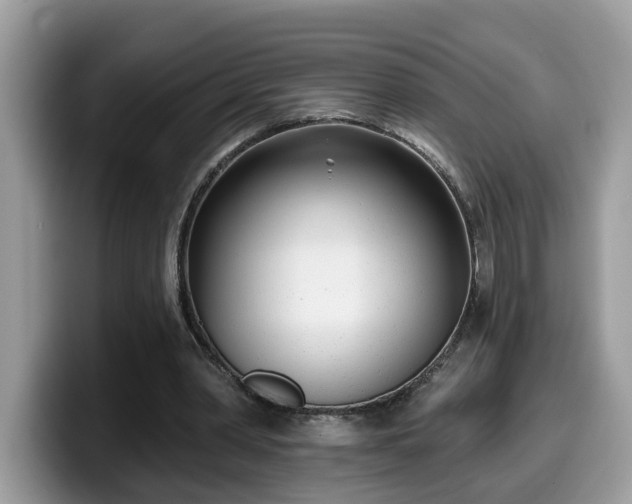 X0000099960390200805301318
