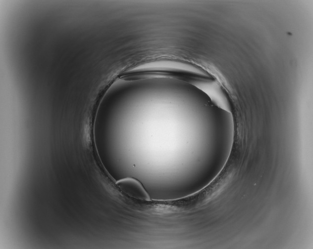 X0000099960393200805301318