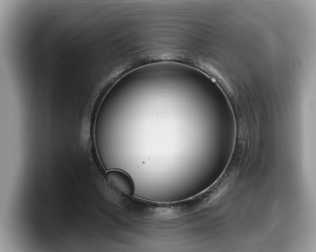 X0000099960394200805301318