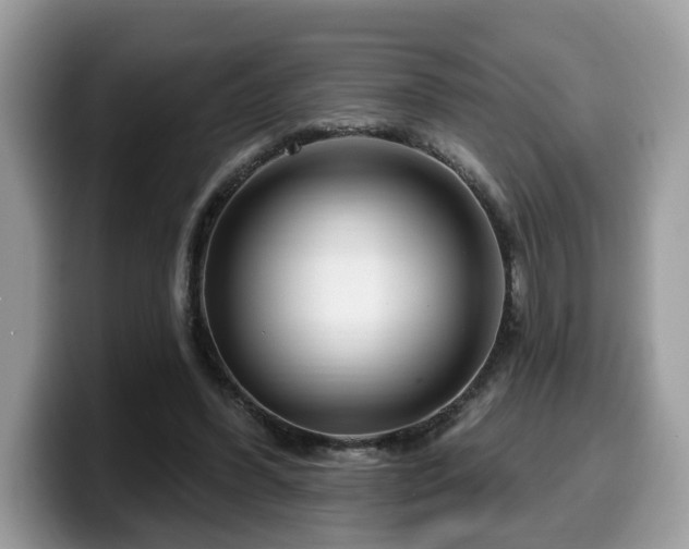 X0000099960396200805301318