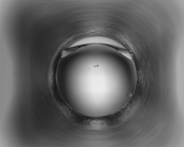 X0000099960400200805301318