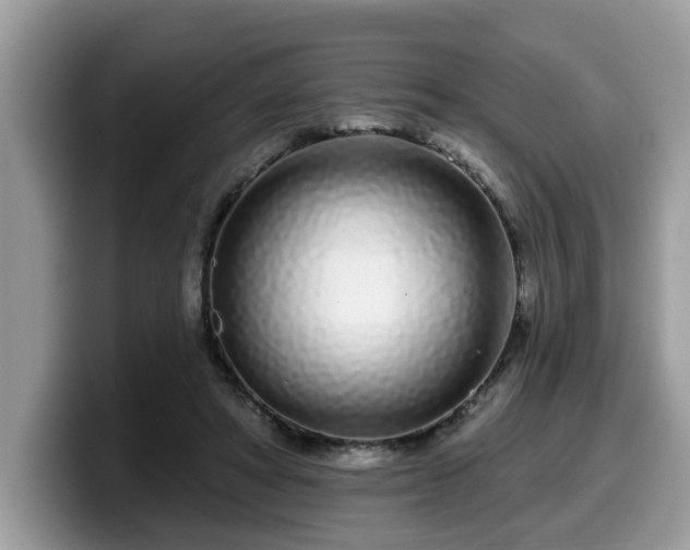 X0000099960402200805301318