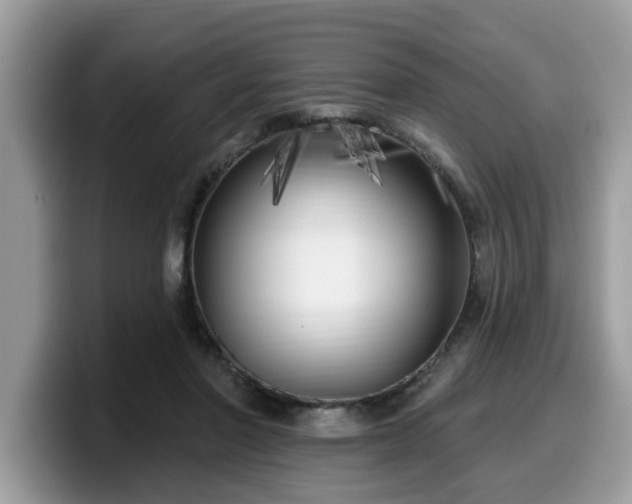 X0000099960406200805301318