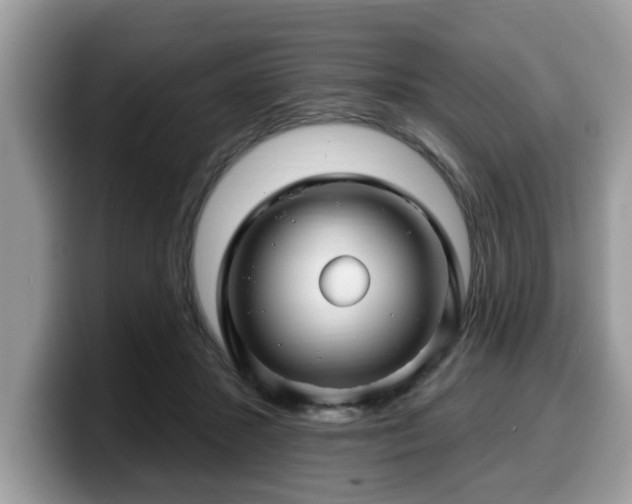 X0000099960407200805301318