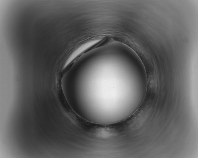 X0000099960408200805301318