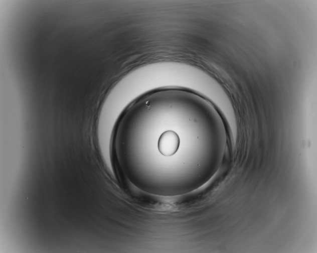 X0000099960409200805301318