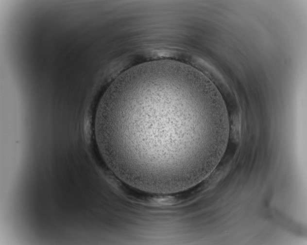 X0000099960410200805301318