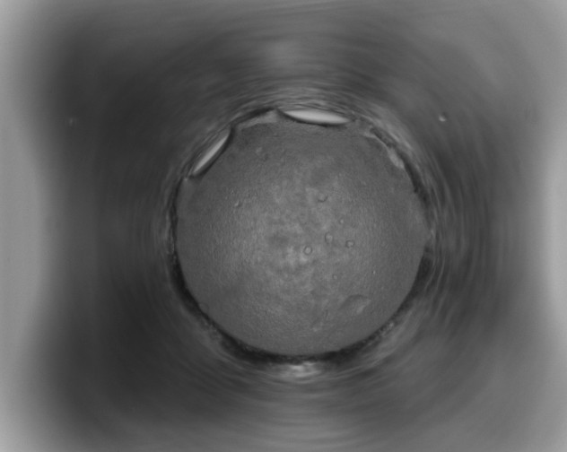 X0000099960411200805301318