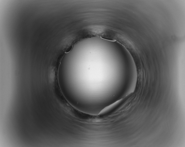 X0000099960412200805301318